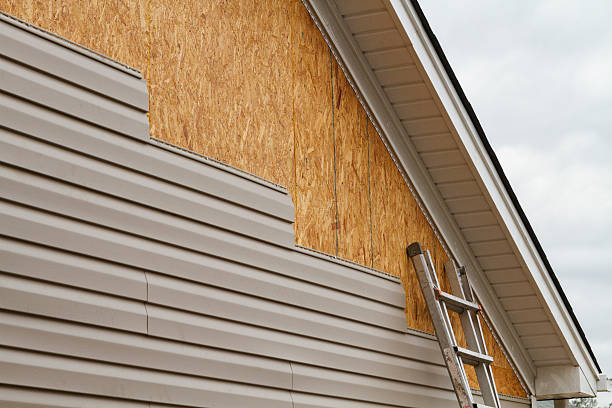 Professional Siding Inspection technician working in Suffolk, VA
